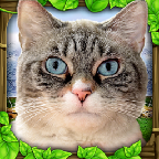 流浪貓模擬器(StrayCatSim)漢化版