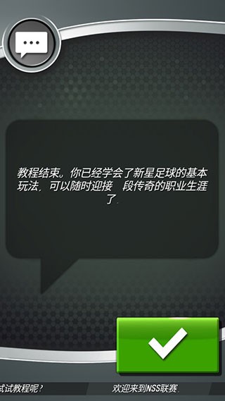 新星足球4(NSS)中文版