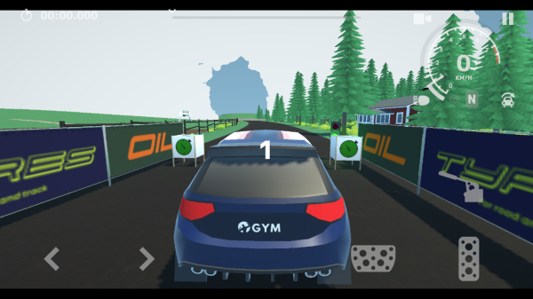 N3拉力賽(N3Rally)中文版